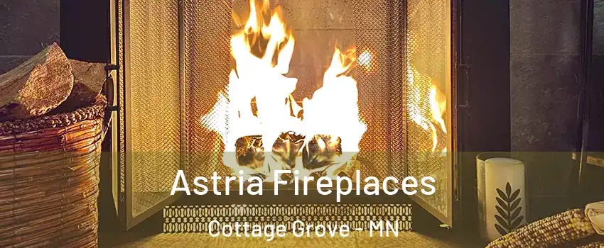 Astria Fireplaces Cottage Grove - MN