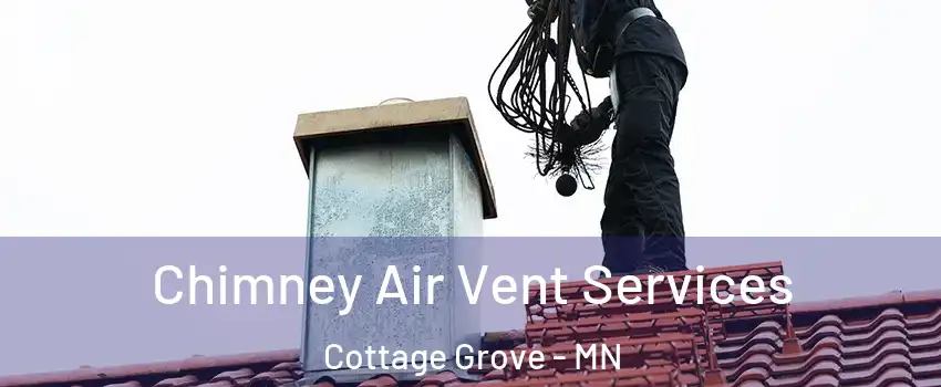  Chimney Air Vent Services Cottage Grove - MN