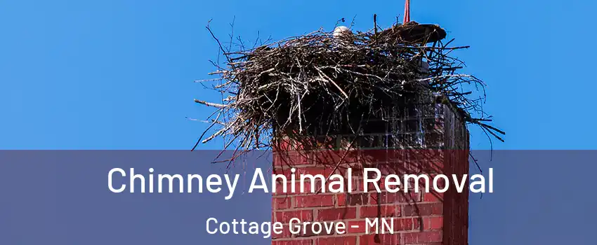 Chimney Animal Removal Cottage Grove - MN