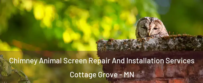  Chimney Animal Screen Repair And Installation Services Cottage Grove - MN
