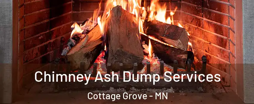  Chimney Ash Dump Services Cottage Grove - MN
