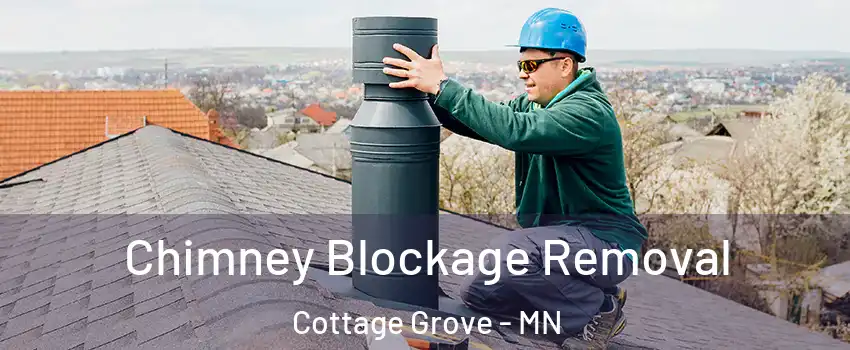  Chimney Blockage Removal Cottage Grove - MN