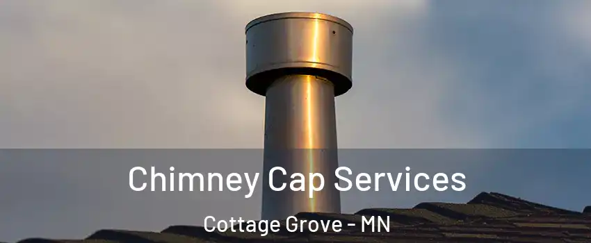  Chimney Cap Services Cottage Grove - MN