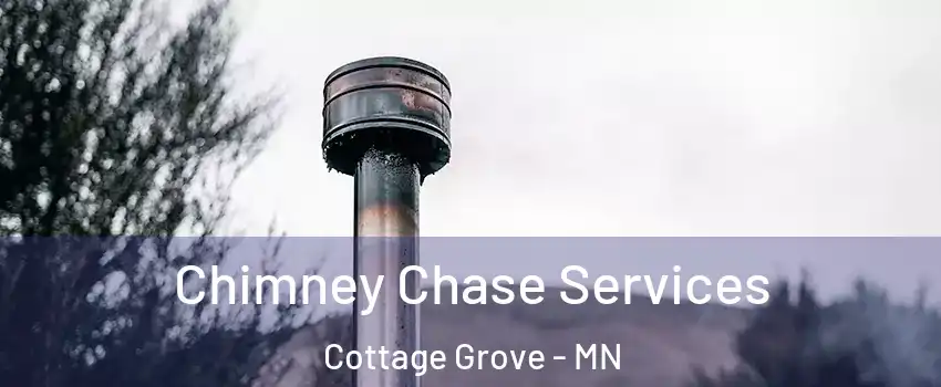  Chimney Chase Services Cottage Grove - MN