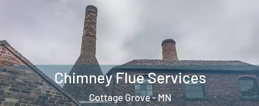  Chimney Flue Services Cottage Grove - MN