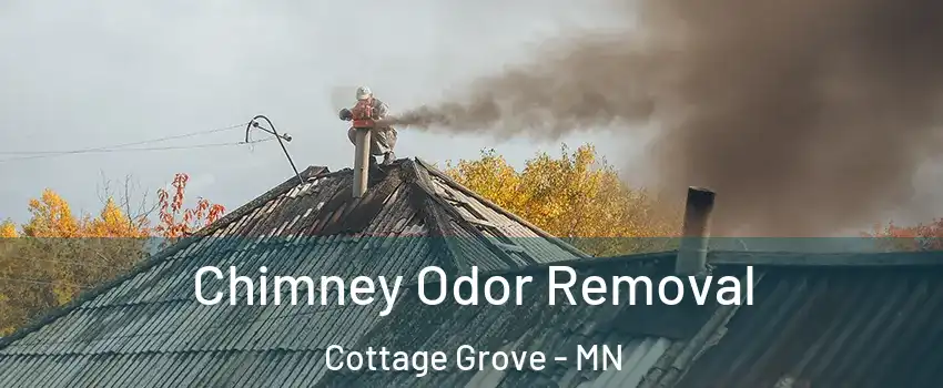  Chimney Odor Removal Cottage Grove - MN