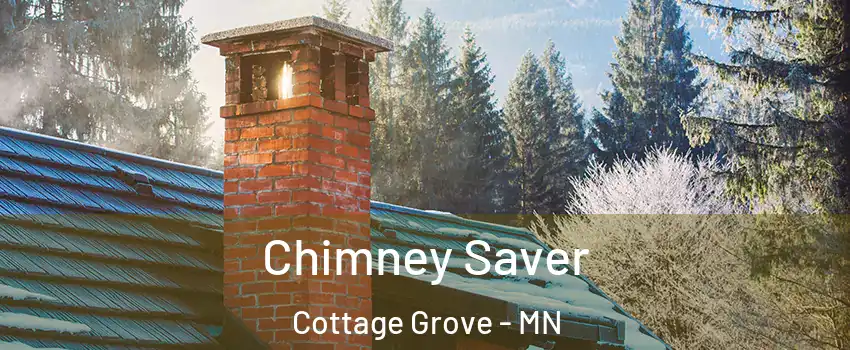  Chimney Saver Cottage Grove - MN