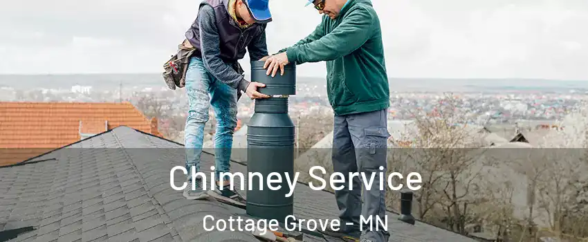  Chimney Service Cottage Grove - MN