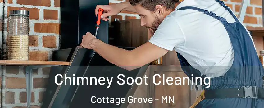  Chimney Soot Cleaning Cottage Grove - MN
