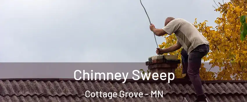  Chimney Sweep Cottage Grove - MN