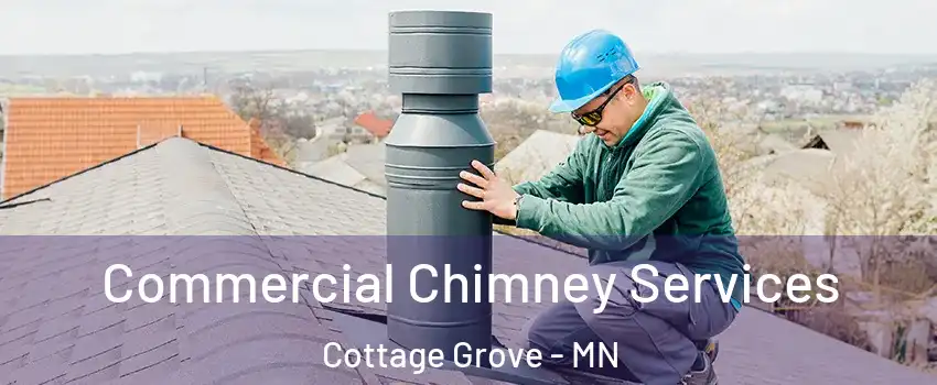  Commercial Chimney Services Cottage Grove - MN