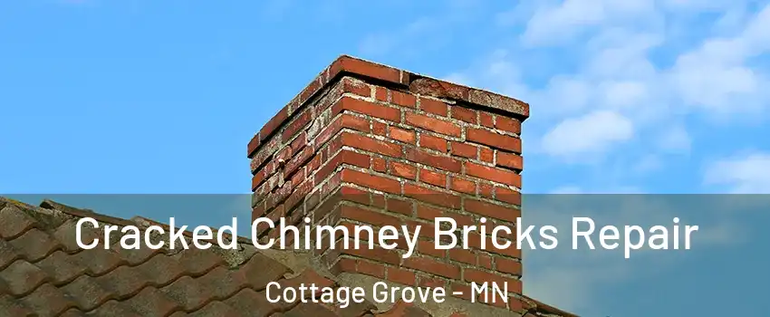  Cracked Chimney Bricks Repair Cottage Grove - MN