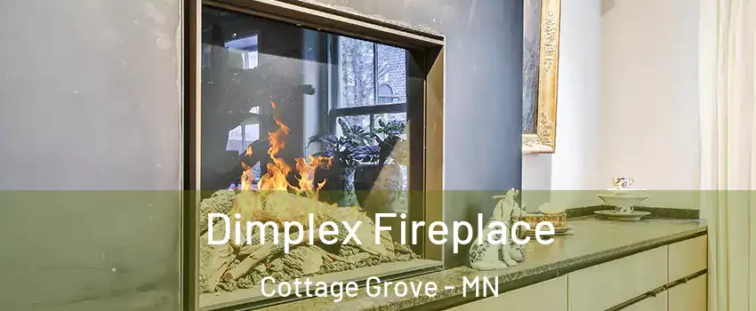  Dimplex Fireplace Cottage Grove - MN