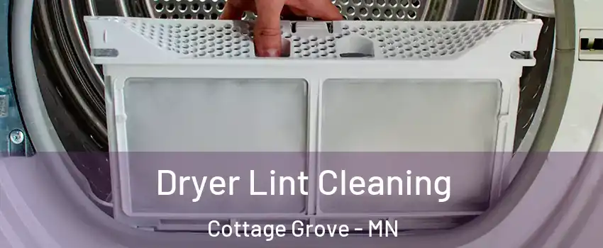  Dryer Lint Cleaning Cottage Grove - MN