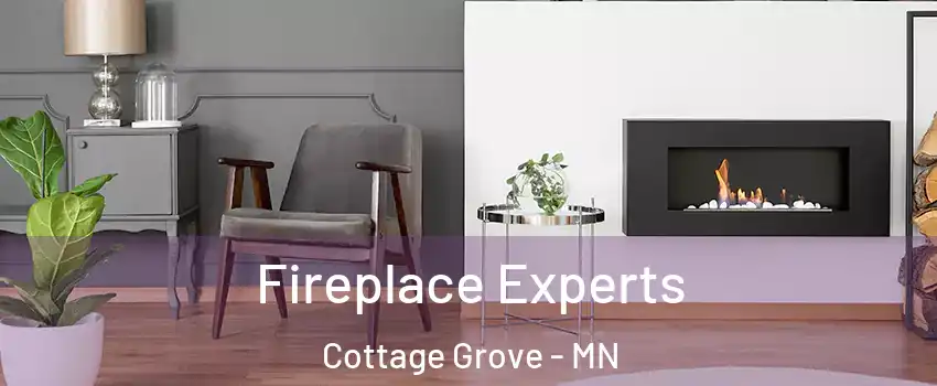  Fireplace Experts Cottage Grove - MN