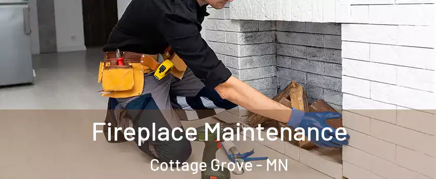  Fireplace Maintenance Cottage Grove - MN