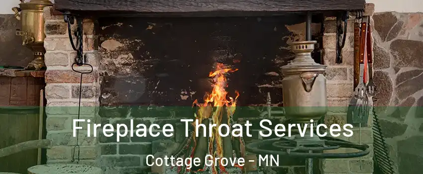  Fireplace Throat Services Cottage Grove - MN