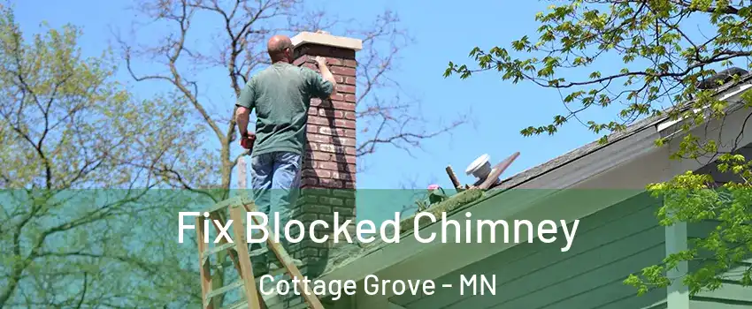  Fix Blocked Chimney Cottage Grove - MN
