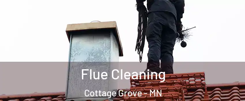  Flue Cleaning Cottage Grove - MN