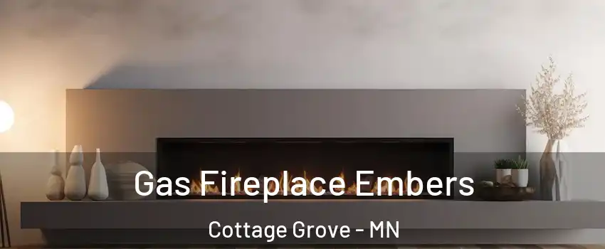 Gas Fireplace Embers Cottage Grove - MN