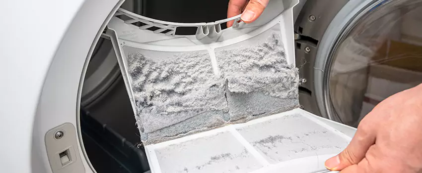 Best Dryer Lint Removal Company in Cottage Grove, Minnesota