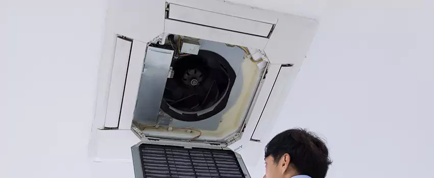 Benefits of Professional Air Duct Cleaning in Cottage Grove, Minnesota
