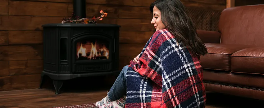 Fireplace Firebox Grate Replacement Services  in Cottage Grove, Minnesota