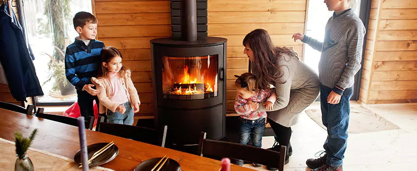 Jøtul Gas Fireplace Inspection Service in Cottage Grove, Minnesota