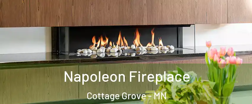  Napoleon Fireplace Cottage Grove - MN