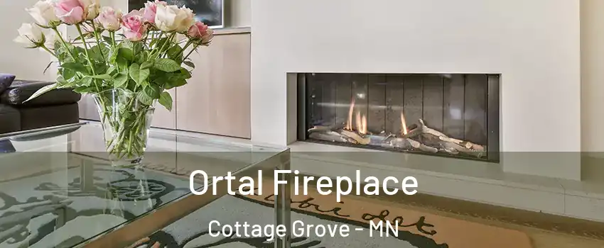 Ortal Fireplace Cottage Grove - MN